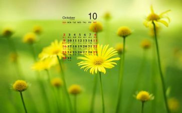 大班10月工作计划月计划5篇