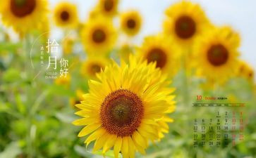 10月一演讲稿5篇