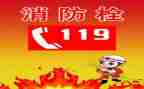 幼儿园小班119活动教案精选6篇