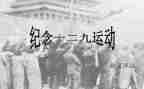 学校129活动总结最新6篇