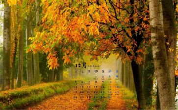 2024年12月份的工作总结最新5篇