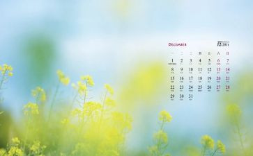 12月份的学生月总结5篇