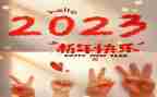 2023年农村党支部年度工作计划最新6篇