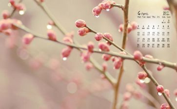 幼儿园4月份保育工作总结6篇