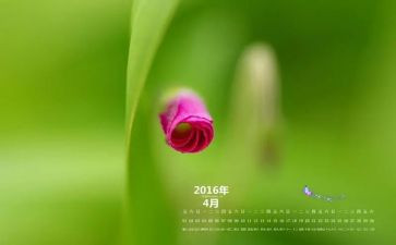 4月份日活动方案5篇
