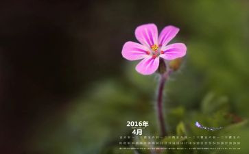 幼儿月4月份工作计划6篇