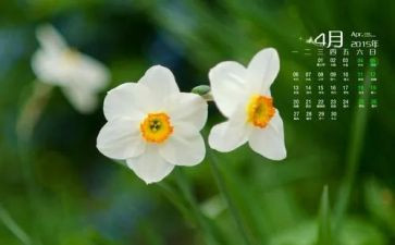 小班4月工作总结总结7篇