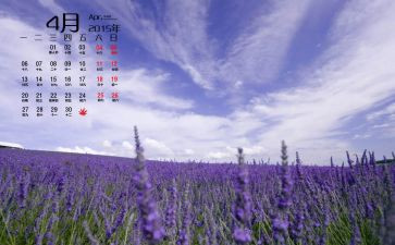中班月计划4月份月计划8篇