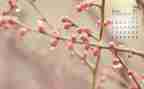 幼儿园4月份保育工作总结6篇