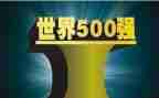 500强企业工作总结8篇