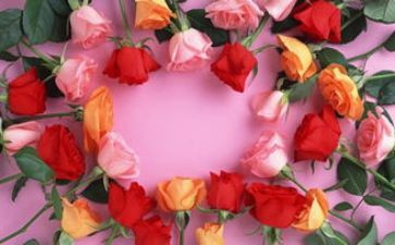 餐厅520活动方案5篇