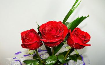 珠宝店520活动策划最新5篇