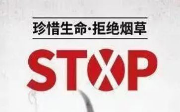 531培训计划优秀7篇