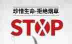 531培训计划优秀7篇