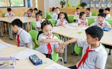 10的单双数大班教案优秀6篇