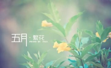 5月1工作计划优秀6篇
