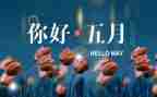 5月1工作计划最新8篇