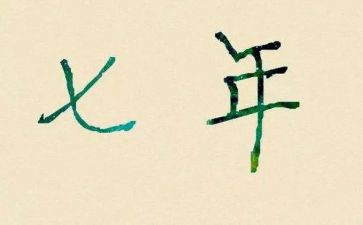 7年级社会教学总结5篇