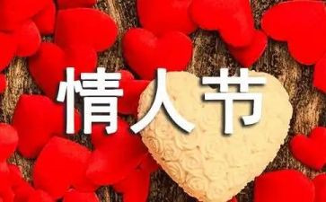 7夕活动总结报告模板7篇