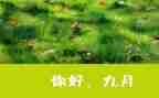 幼儿教师9月份工作月总结优秀6篇