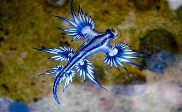 高中生物教师学期工作计划7篇