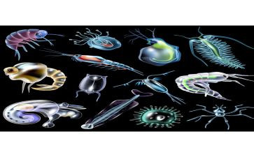 中学生物教研总结5篇