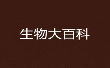 高中生物教师工作总结个人总结6篇