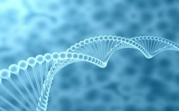 生物备课工作计划8篇