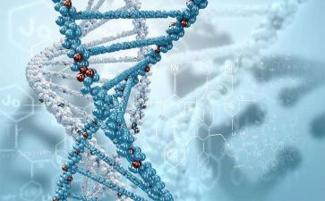 生物心得体会5篇