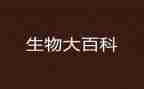 高中生物教师工作总结个人总结6篇