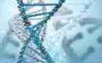 生物心得体会5篇