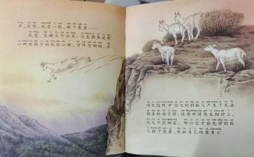 斑羚飞渡的心得体会7篇