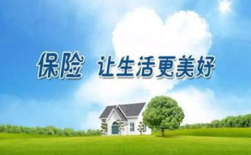 保险客服岗工作总结通用6篇
