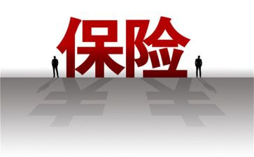 保险公司个人总结参考6篇