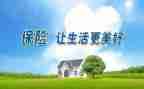 保险工作的工作总结6篇