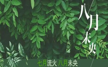八月份安全总结8篇