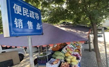 便民点工作总结7篇