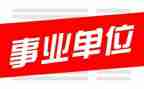 编制通工作总结8篇