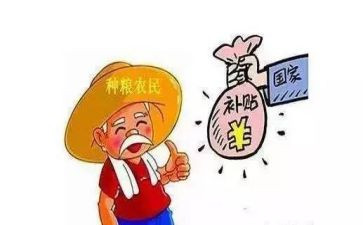 80补贴工作总结6篇