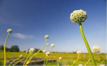 这一天不寻常的作文参考8篇