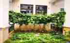小小班蔬菜宝宝教案8篇
