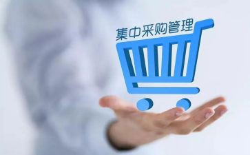 政采购个人工作总结优质5篇