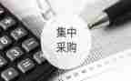 个人年终工作总结采购精选8篇