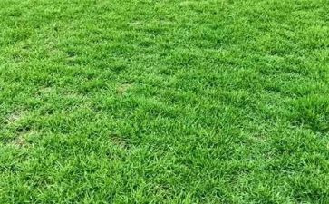 《草房子》心得5篇