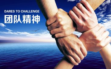 年庆活动方案策划7篇