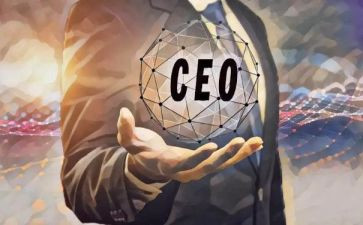 erp的ceo心得8篇