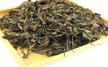 奶茶作文7篇