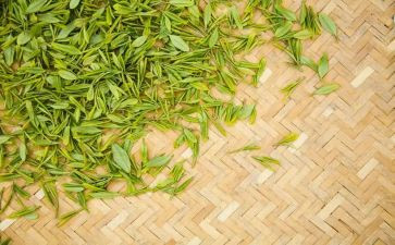 茶话会活动方案精选6篇