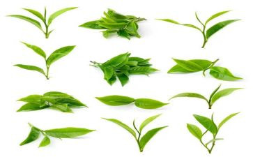 茶话会活动方案7篇
