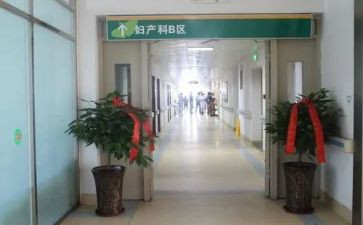 在产科的实习心得8篇